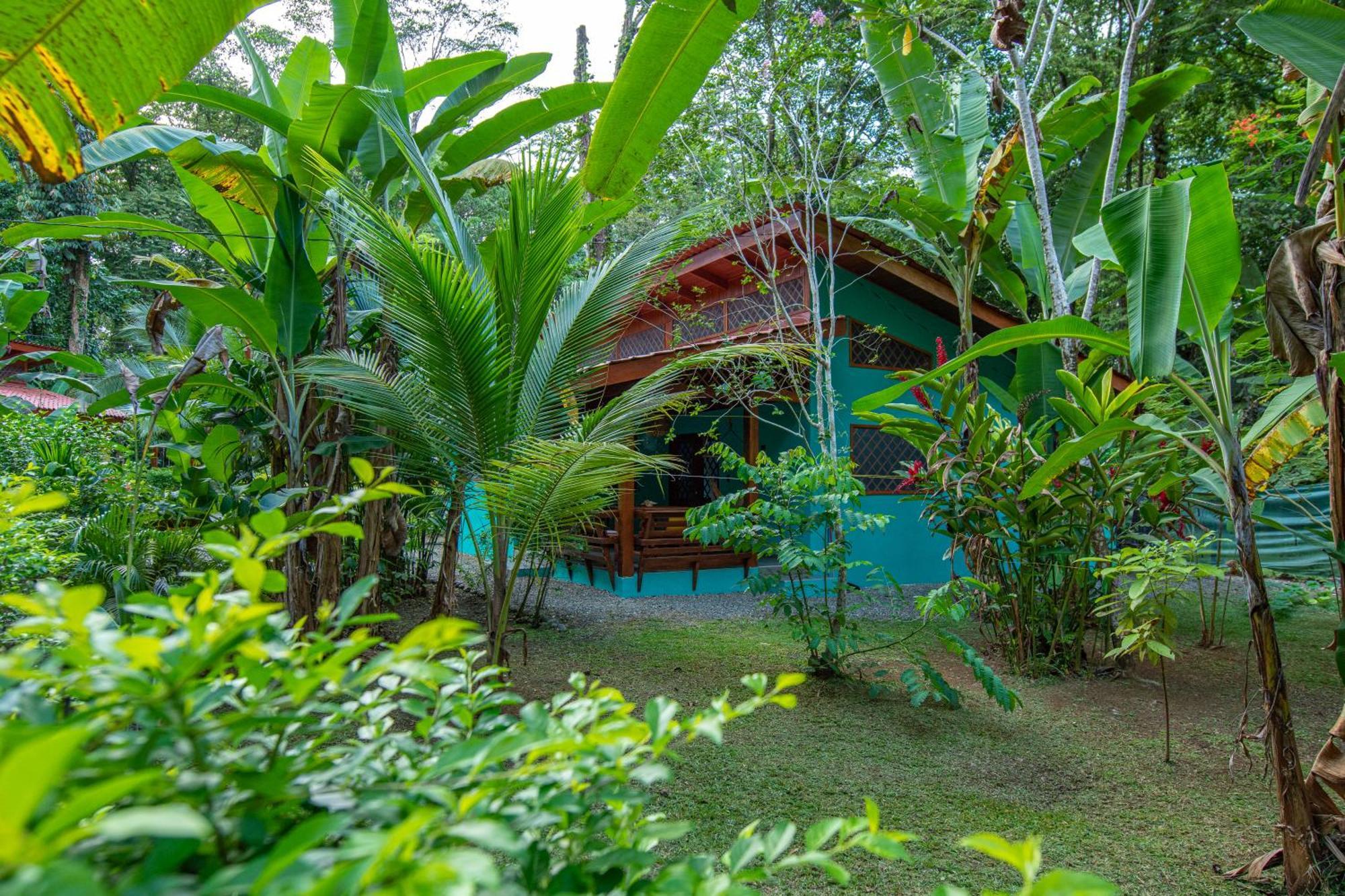 Hotel Casa Merlin Puerto Viejo de Talamanca Exterior photo
